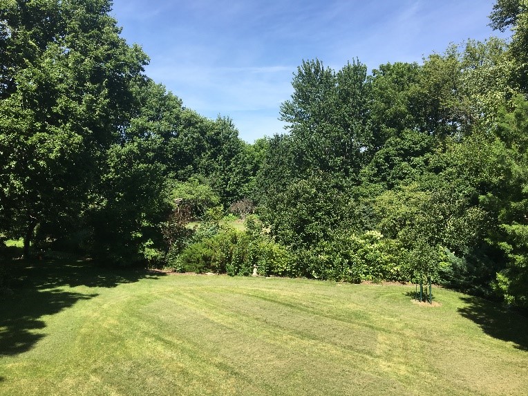 Monticello Backyard